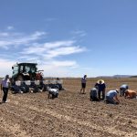 Verified Organic and ConsenSys-backed Treum launch Ethereum blockchain solution to track and trace the first commercial hemp crop planted in Arizona