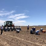Verified Organic and ConsenSys-backed Treum launch Ethereum blockchain solution to track and trace the first commercial hemp crop planted in Arizona