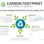 Join the green revolution: five ways to keep your company & supply chain partners sustainable