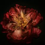 Sm-ART NFT offers modern art masterpieces by Gabriel Dean Roberts for tokenised investment
