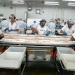Infor Nets 7-Year SaaS Deal with New Zealand Seafood Giant Sealord