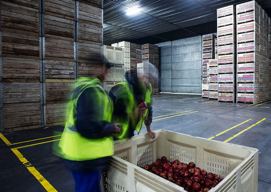 https://www.supplychainit.com/wp-content/uploads/2023/05/food-warehouse-inspection-workers-apples-distribution_getty_900-x-636-.jpg