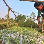 TNS 365 plants one tree per job via Treeapp partnership