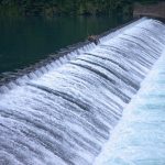 Majority of water companies face ‘challenging and unpredictable’ cost pressures ahead of AMP8